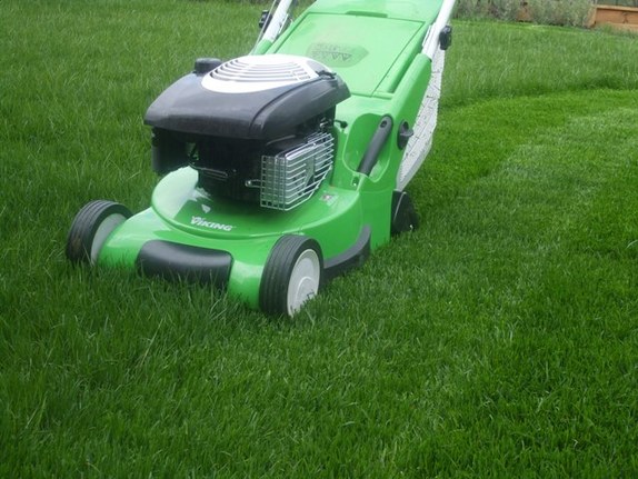 Welcome to Gomez Gardening Welcome to Gomez Gardening