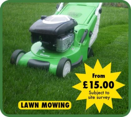 Have Your Lawn Mowed Have Your Lawn Mowed